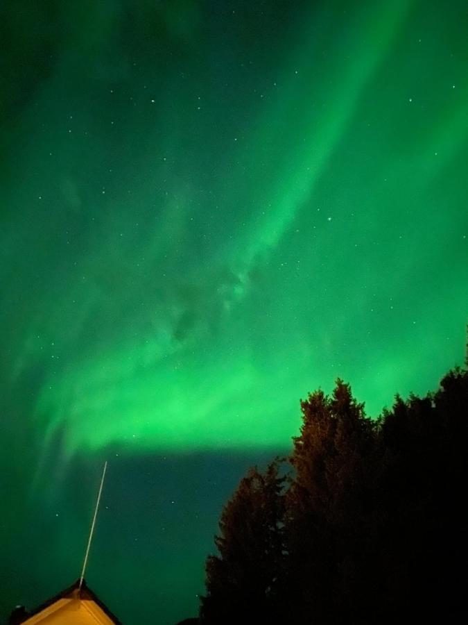 Lyngen, Mackay Appartment, Lyngen Lyngseidet Dış mekan fotoğraf