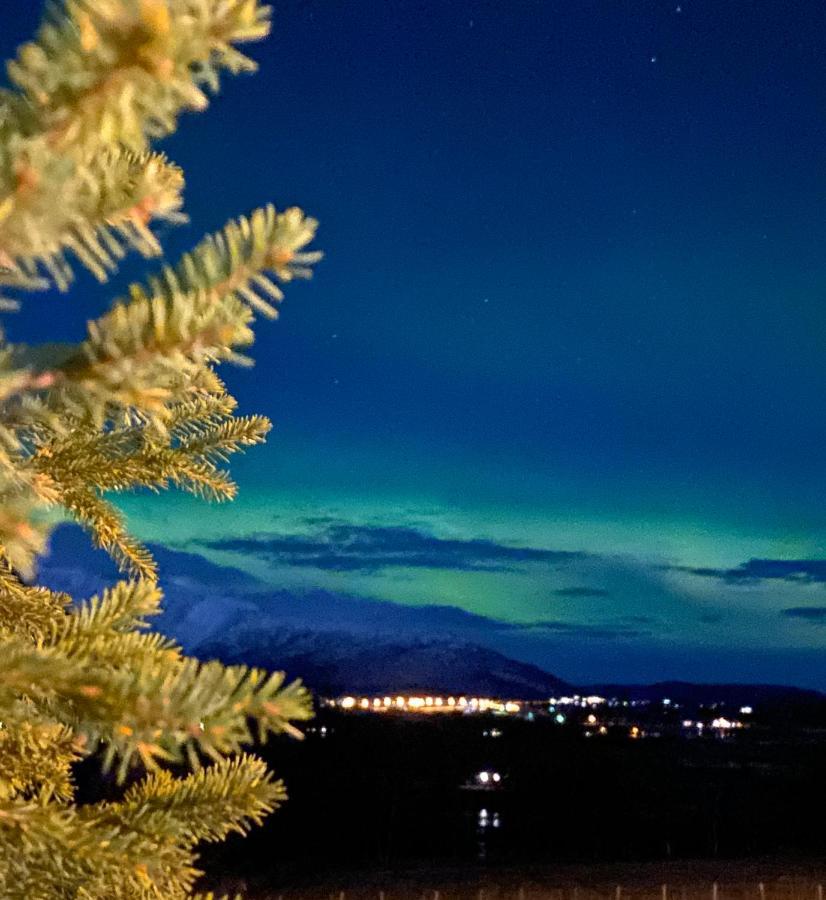 Lyngen, Mackay Appartment, Lyngen Lyngseidet Dış mekan fotoğraf
