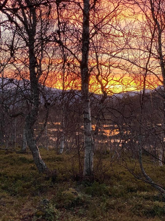 Lyngen, Mackay Appartment, Lyngen Lyngseidet Dış mekan fotoğraf