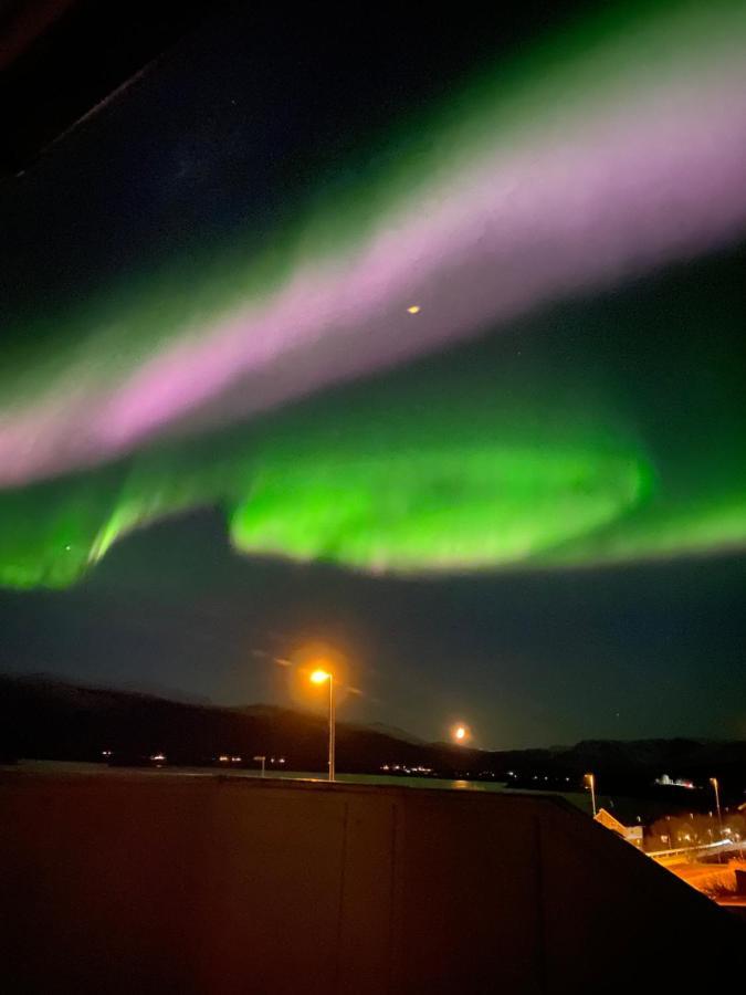 Lyngen, Mackay Appartment, Lyngen Lyngseidet Dış mekan fotoğraf